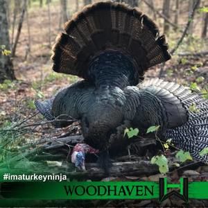 Meet your Posher, Tim